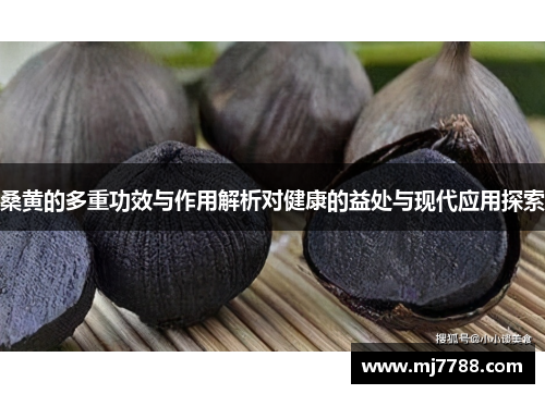 桑黄的多重功效与作用解析对健康的益处与现代应用探索 桑黄的多重功效与作用解析对健康的益处与现代应用探索